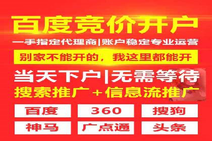 竞价SEM助力电商平台快速提升流量